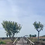 Beachfront In Primera Linea De Playa Коніль-де-ла-Фронтера